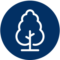 tree icon