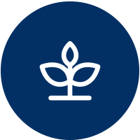 Rainwater gardens icon