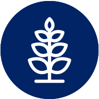 street tree icon